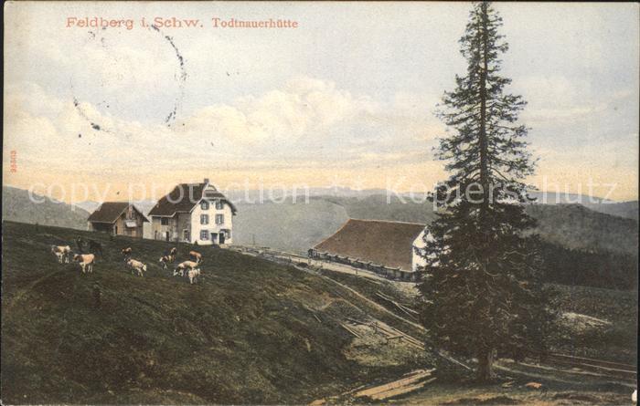Feldberg Schwarzwald Todtnauerhuette