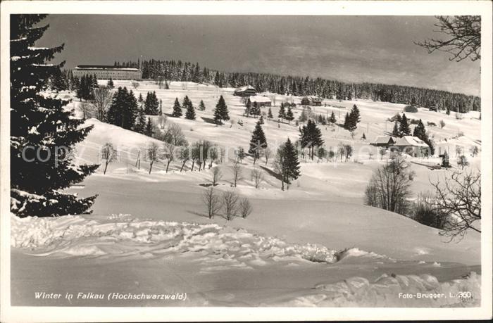Falkau Winter