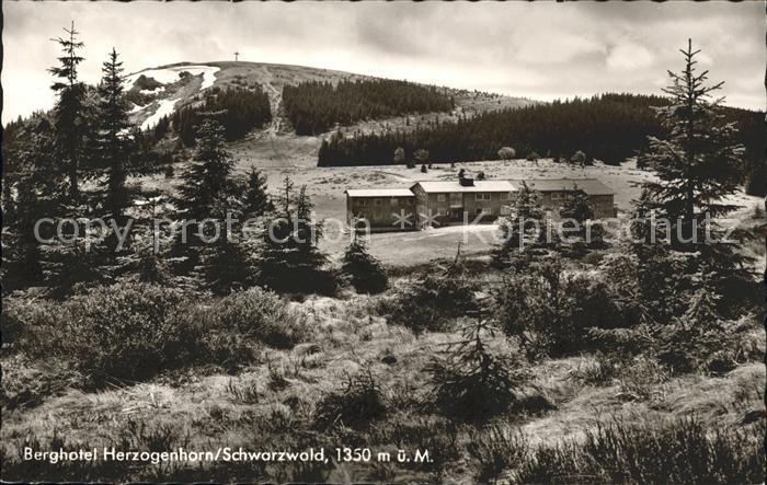 Schwarzwald Berghotel Herzogenhorn