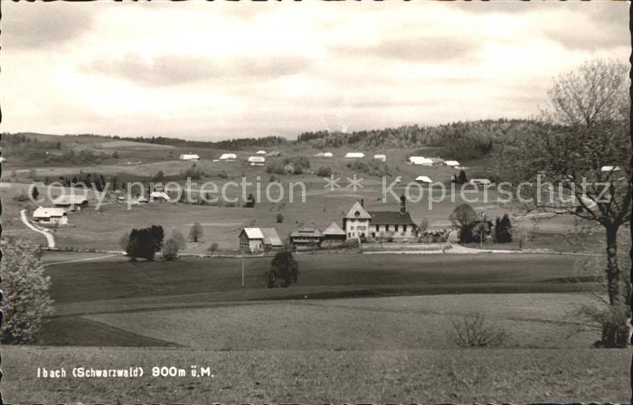 Ibach St Blasien Landschaft