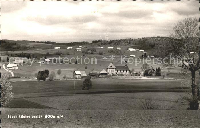 Ibach St Blasien Landschaft