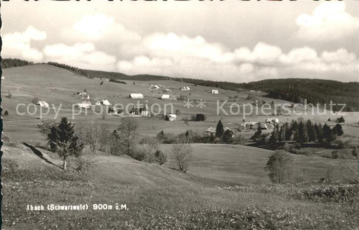 Ibach St Blasien Cafe Pension St. Hubertus