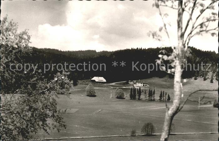 Ibach St Blasien Cafe St. Hubertus forsthaus