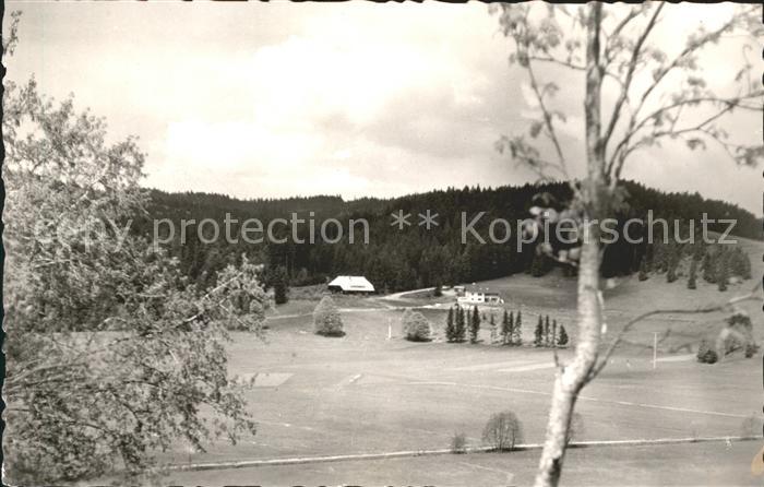 Ibach St Blasien Cafe St. Hubertus Forsthaus