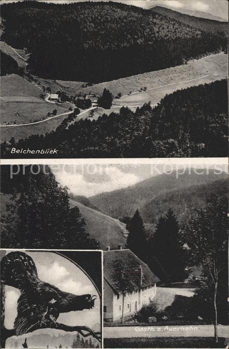 BADENWEILER BW Belchenblick Gasthaus zum Auerhahn