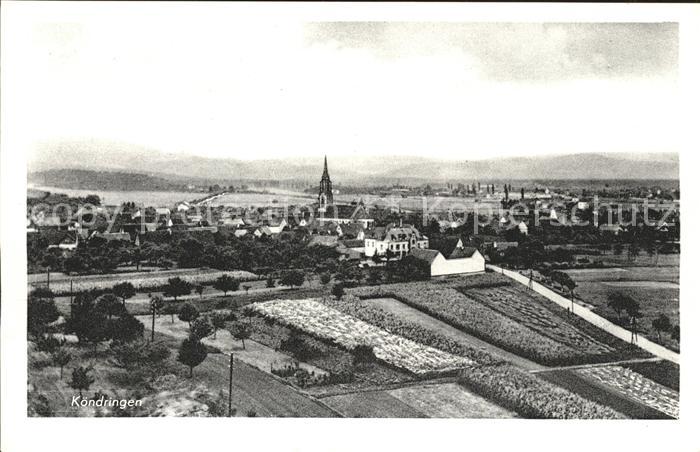 Koendringen Dorf Felder