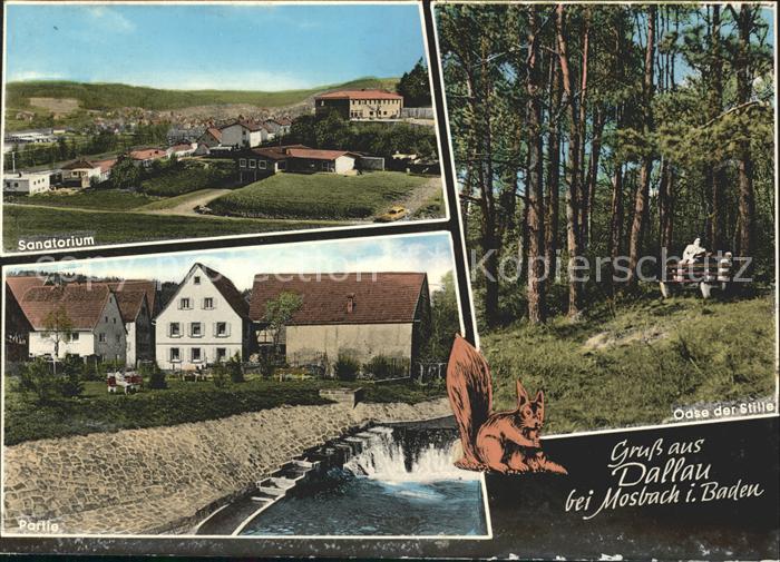 Dallau Oase  Sanatorium