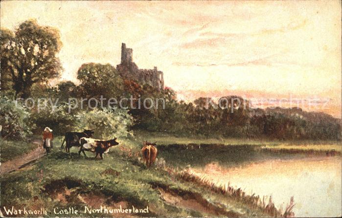 Northumberland Heath Warkworth Castle Kuehe See Kuenstlerkarte