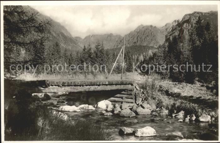 Vysoke Tatry Bruecke Bach Hohe-Tatra