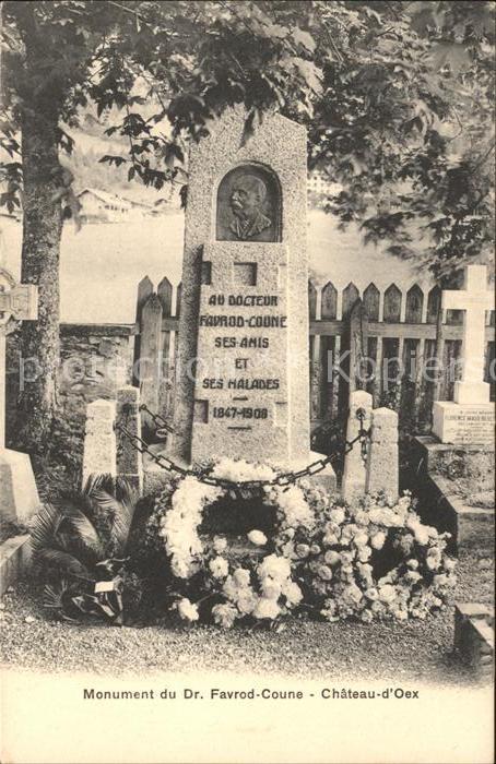 Chateau-d Oex Monument du Dr. Favrod-Coune