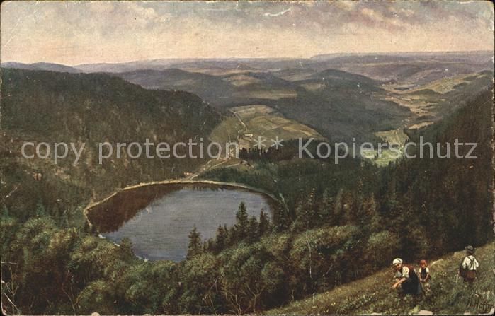 Hoffmann Heinrich Fedlberg-Seebuck Feldsee Nr. 203