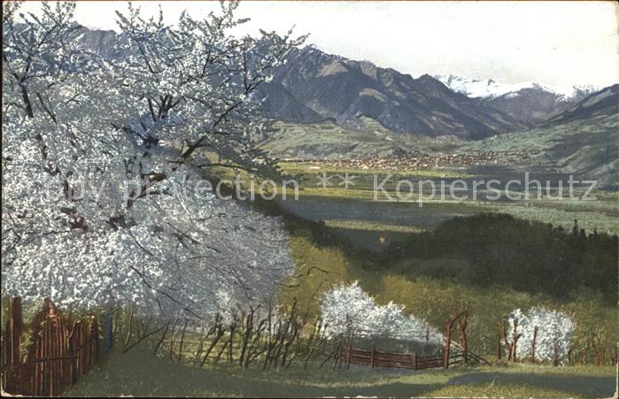 Verlag Photochromie Nr. 2716 Serie 145 Obstbluete Tirol