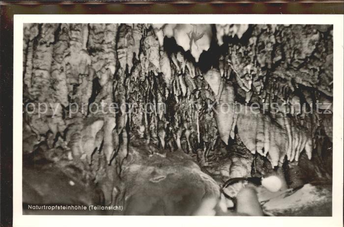 Hoehlen Caves Grottes Naturtropfsteinhöhle Niedaltdorf Saar
