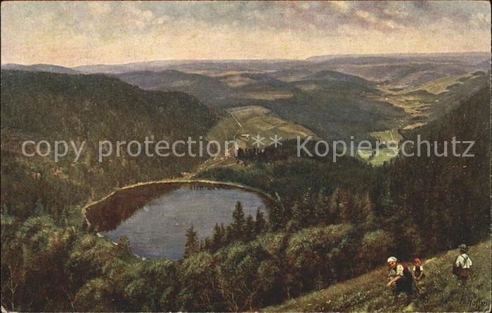 Hoffmann Heinrich Feldberg-Seebuck Feldsee Nr. 203