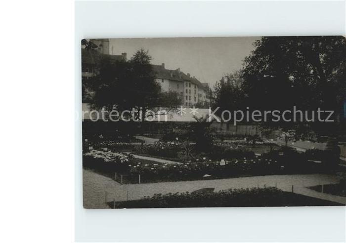 Wollishofen Stadtpark