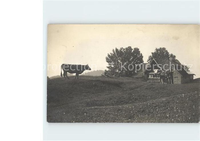 Heiden AR Mann mit Kuehen