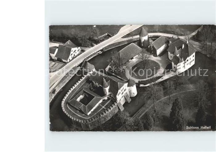 Hallwil Fliegeraufnahme Schloss