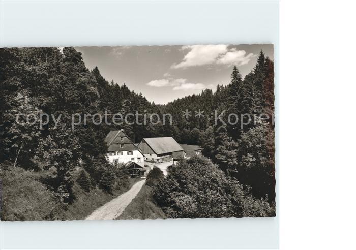 Dittishausen Gasthaus Pension Roessle