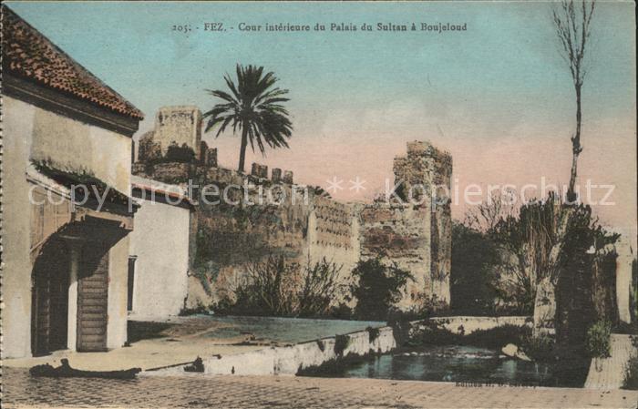 Fes Fez Maroc Cour interieure Palais Sultan Boujeloud