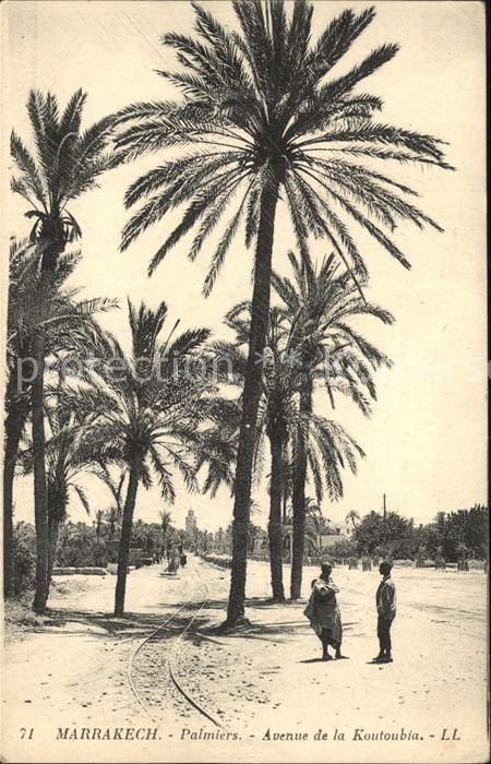 Marrakech Palmiers Avenue Kautoubia