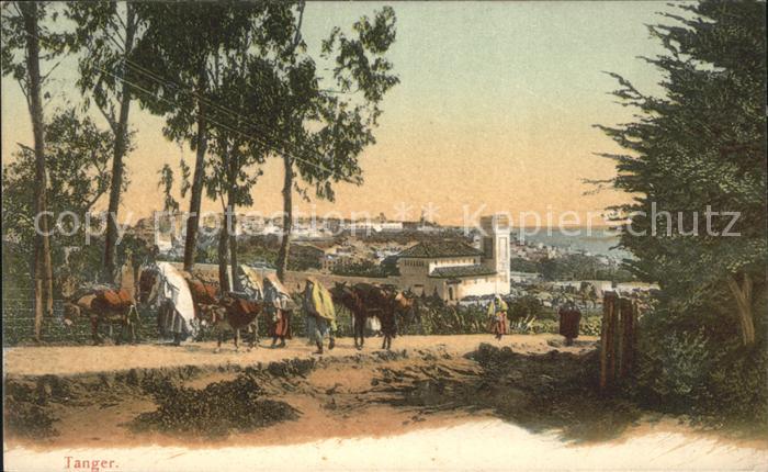 Tanger Tangier Tangiers Esel Ort Typen