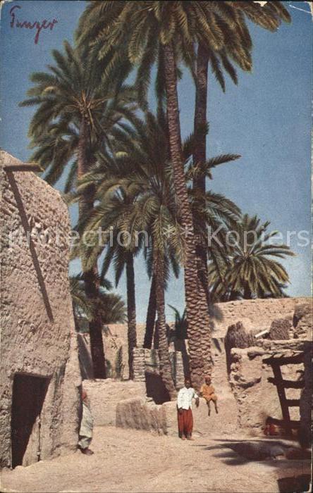 Tanger Tangier Tangiers Palme Typen