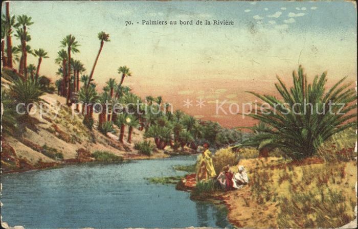 Oudjda Palmiers Riviere