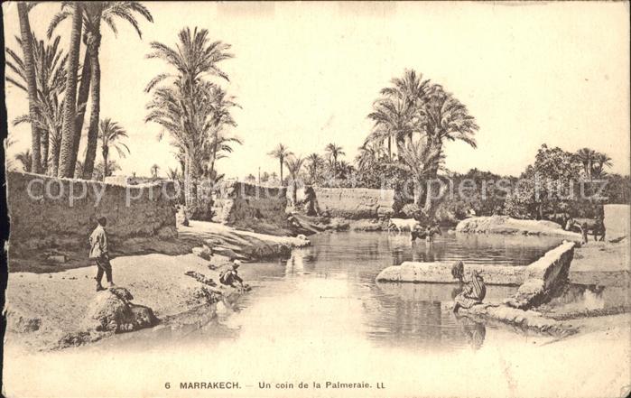 Marrakech Marrakesch Un coin Palmeraie