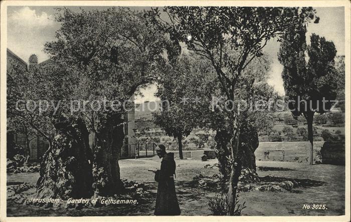 Jerusalem Yerushalayim Garden of Gethsemane