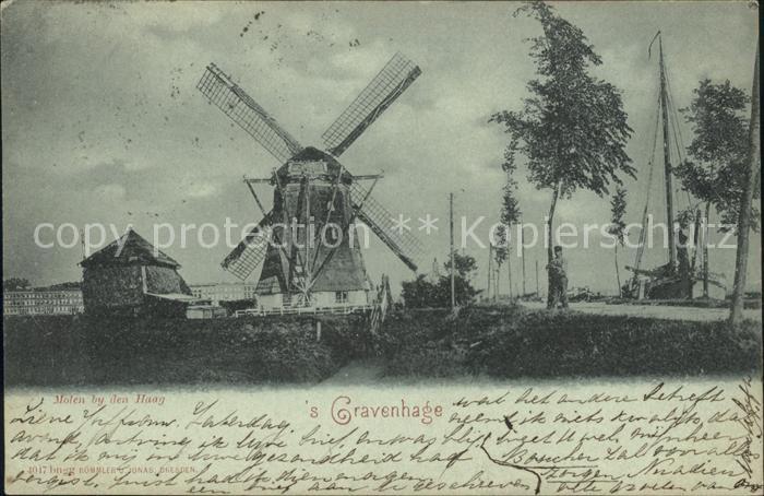 Gravenhage Molen by den Haag