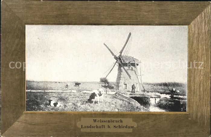 Schiedam Landschaftsbild mit Mühle