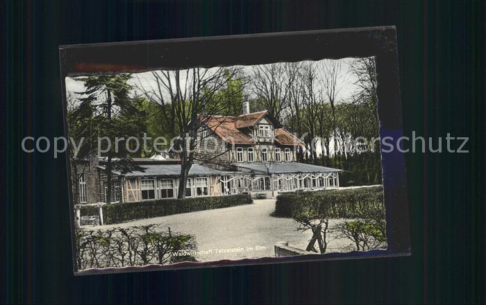 Schoeppenstedt Waldwirtschaft Tetzelstein im Elm