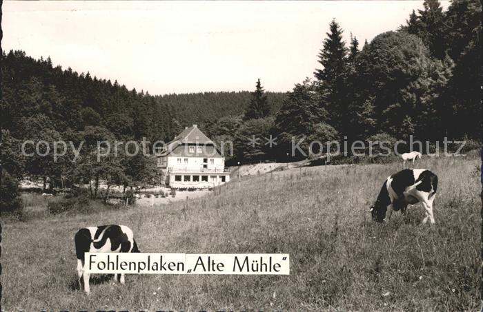 Fohlenplacken Hotel Alte Muehle