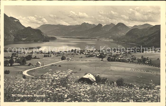 Abersee St Gilgen Salzkammergut Panorama