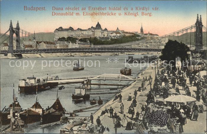 Budapest Donaupartie mit Elisabethbrücke und Kgl