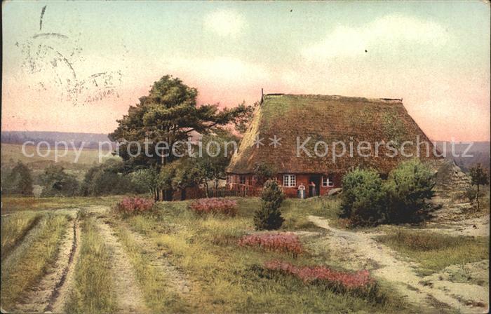 Lueneburger Heide Partie bei Nindorf