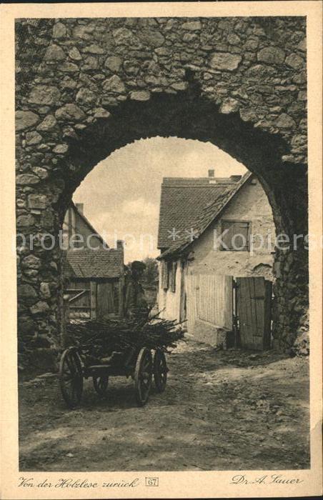 Zwingenberg Bergstrasse Holzlese