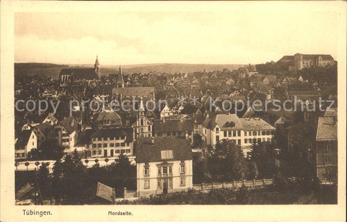 TueBINGEN BW Nordseite Fliegeraufnahme