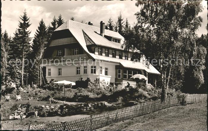 Hinterzarten Breisgau-Hochschwarzwald BW Pension Hochschwarzwald
