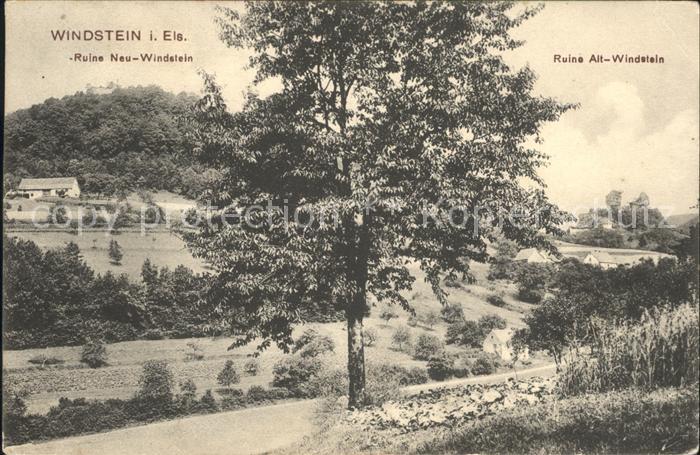 Windstein Ruine Windstein