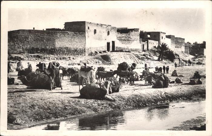 Gabes Caravane au repos Kamele