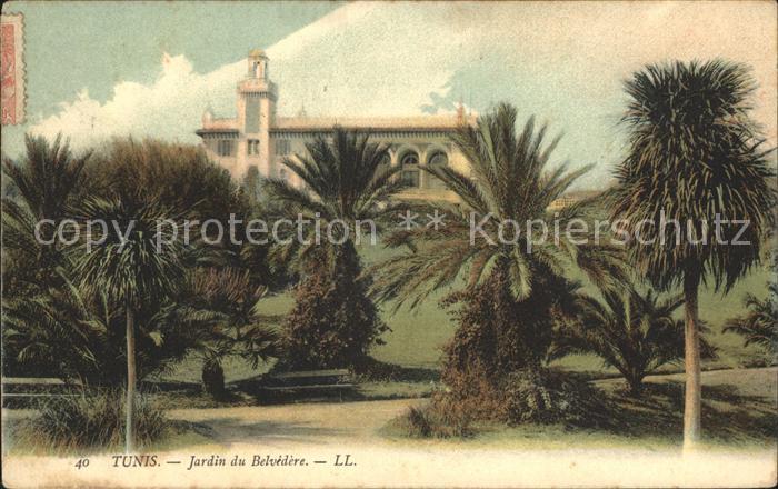 Tunis Jardin du Belvedere