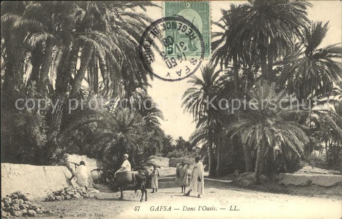 Gafsa Oasis Typen
