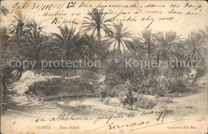 Gabes Oasis