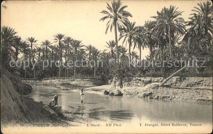 Tozeur Oued