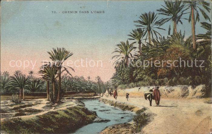 Tunesien Chemin dans l'Oasis