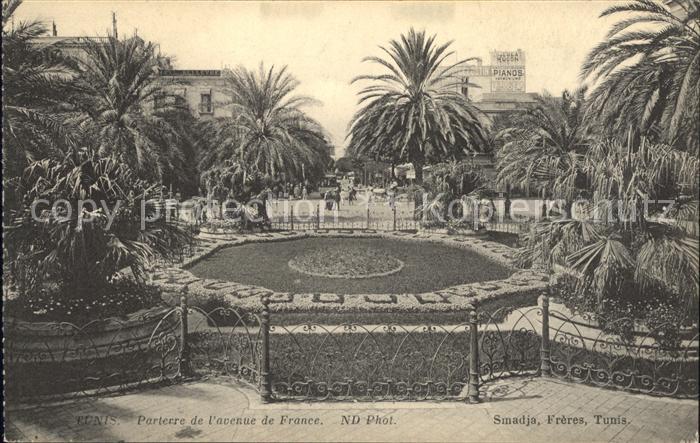 Tunis Parterre Avenue de France
