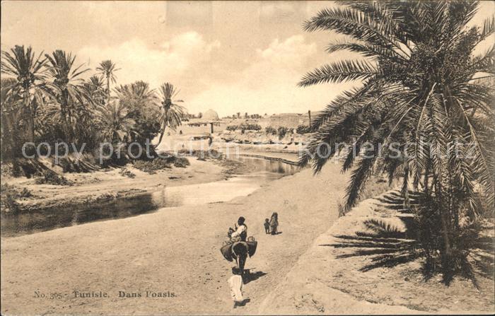 Tunis Dans l'oasis