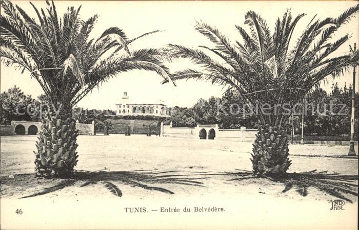 Tunis Entree Belvedere