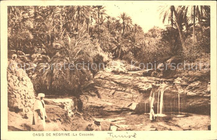 Negrine Oasis Cascade